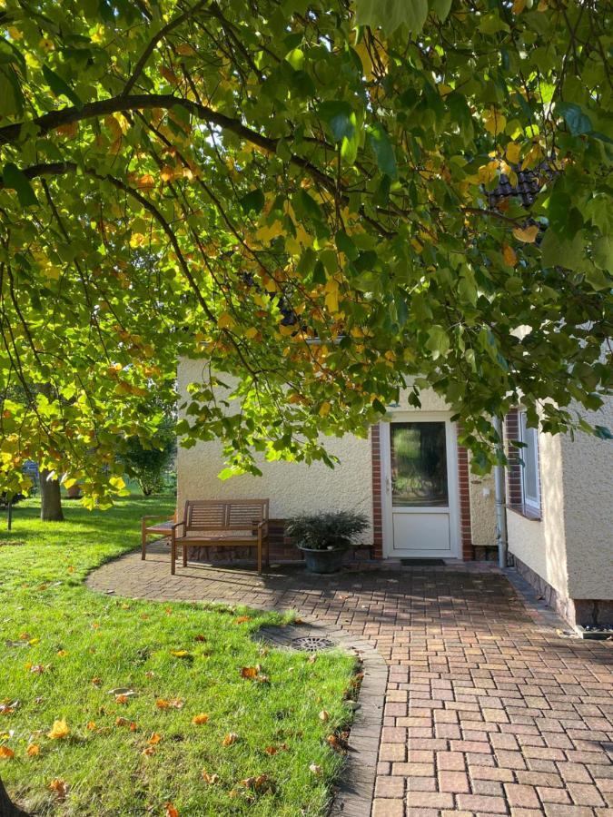 Ferienhaus Spreewald 卢考 外观 照片